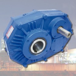 Reductor Pendular