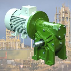 Motorreductor sinfín