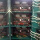 Tableros Eléctricos